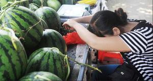 长垣卖衣服吃瓜视频,一场别开生面的乡村时尚盛宴