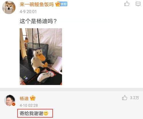 鸭子吃瓜视频,鸭子吃瓜视频走红网络