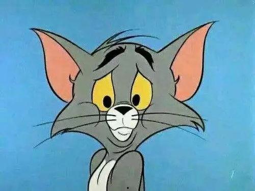 猫和老鼠吃蜜瓜视频大全,猫鼠大战蜜瓜视频大盘点