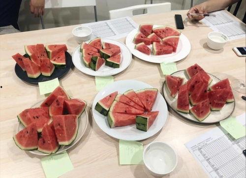 大瓜西西吃小吃视频,一场味蕾的盛宴之旅