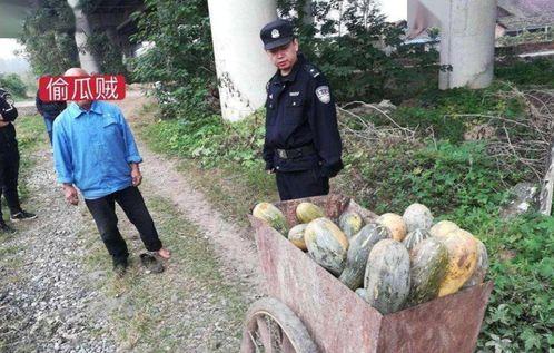 金凤区吃瓜群众事件视频,一场网络舆论的风暴与反思