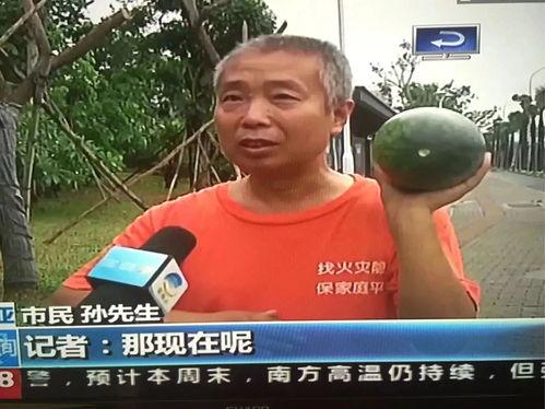 穆勒吃瓜群众视频,揭秘娱乐圈幕后真相