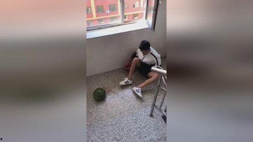 路上买瓜吃视频,瓜农现场展示新鲜美味瓜果