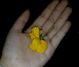 扇嘴巴吃瓜视频素材,揭秘网络恶搞背后的娱乐狂欢