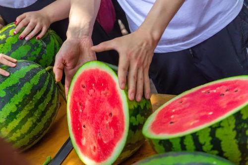 闽师大食堂吃瓜事件视频,视频揭露惊人真相