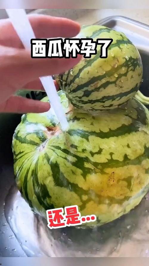 宿舍搞笑视频吃瓜,吃瓜群众笑翻天，校园生活欢乐多