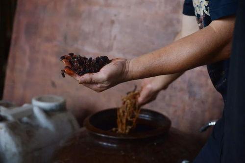 古代人喝茶吃瓜视频,穿越时空的消夏雅集