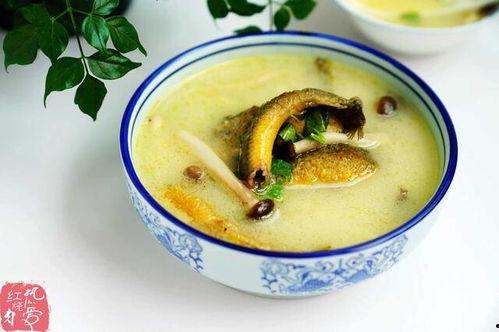 葫芦瓜能煮鱼汤吃吗视频,创意家常菜新尝试