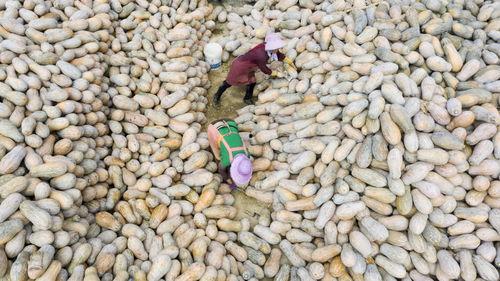 西乡塘区吃瓜事件视频,一场引发热议的网络视频风波
