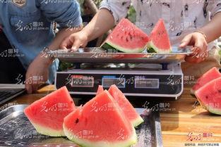 山东结婚吃瓜视频大全最新