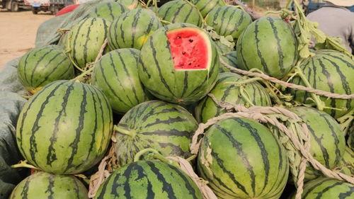 山东结婚吃瓜视频大全最新