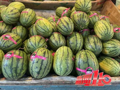 玲珑瓜熟大了可以吃吗视频,揭秘食用指南与美味分享