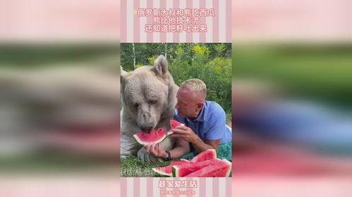 落落熊吃瓜视频下载,揭秘热门娱乐幕后故事