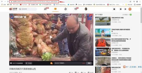 落落熊吃瓜视频下载,揭秘热门娱乐幕后故事