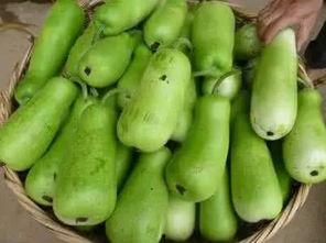 葫芦瓜怎么吃才好啊视频,这样吃最营养！