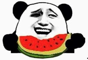 瓜脸群众吃瓜视频,揭秘娱乐圈幕后风云