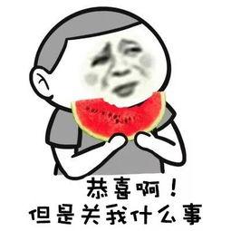 吃瓜群众跟拍大哥视频,揭秘吃瓜群众的幕后故事