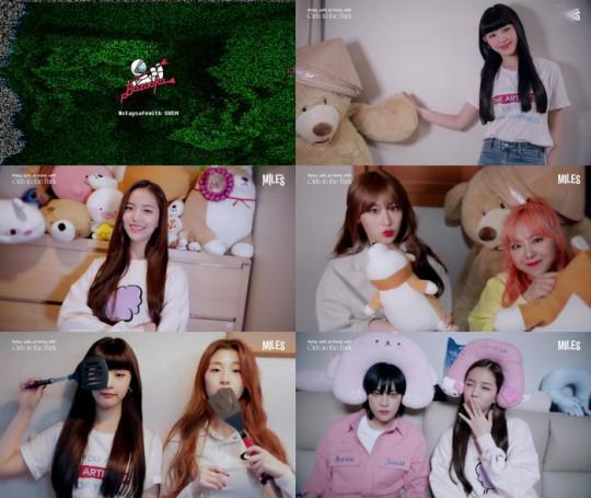 吃瓜少女布嘉酱视频在线观看,带你领略娱乐圈幕后风云