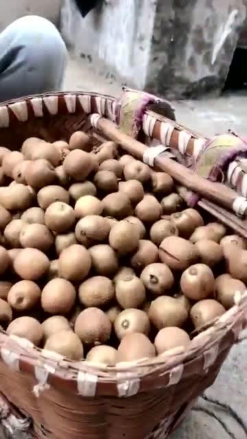 带你吃瓜野生系列视频,揭秘幕后故事与趣味瞬间