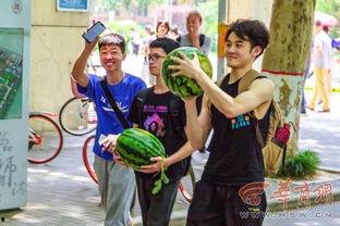 红领巾免费吃瓜视频,揭秘网络短视频背后的秘密