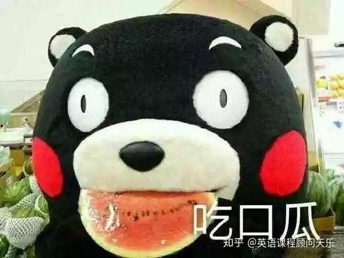 吃瓜表达视频,吃瓜群众视角下的短视频盛宴