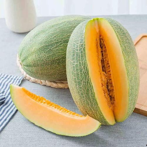 吃蜜瓜舞蹈音乐视频大全