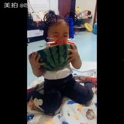 宝宝吃瓜的搞笑视频大全,萌态百出笑翻天