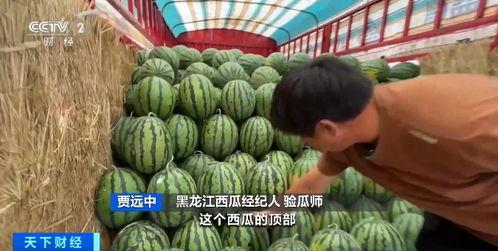 吃瓜刮钱视频大全,轻松赚钱的幕后真相