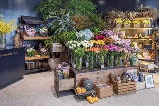 河北吃瓜事件花店视频,花店视频揭示惊人一幕