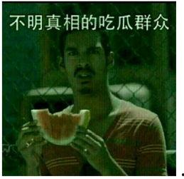 诗词吃瓜视频完整版,跟随诗词吃瓜视频，领略古典文化魅力