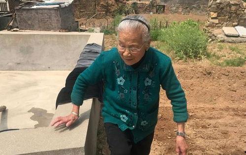 四大爷吃大瓜图片搞笑视频,笑料百出，年度搞笑视频来袭！