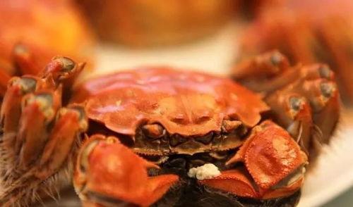 牛大瓜吃一只大螃蟹视频,趣味横生！