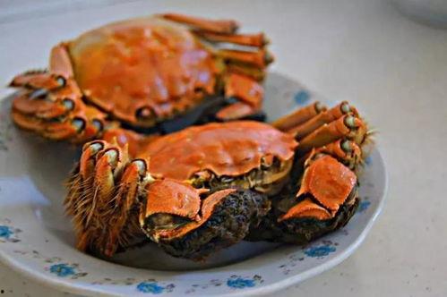 牛大瓜吃一只大螃蟹视频,趣味横生！