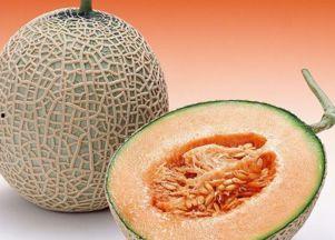 宠物吃哈密瓜好不好呢视频,哈密瓜对宠物的影响揭秘