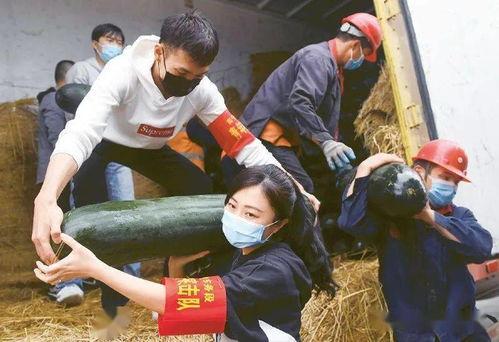 广西青年吃瓜事件视频,一场网络热议的幕后真相揭秘