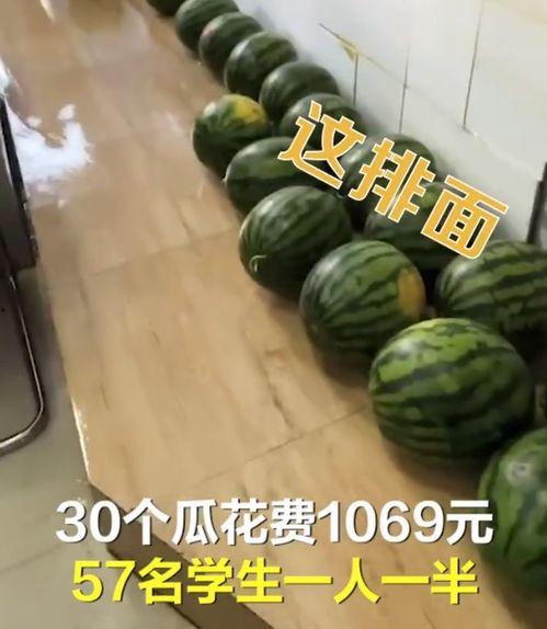 董老师吃哈密瓜视频大全,视频大全回顾