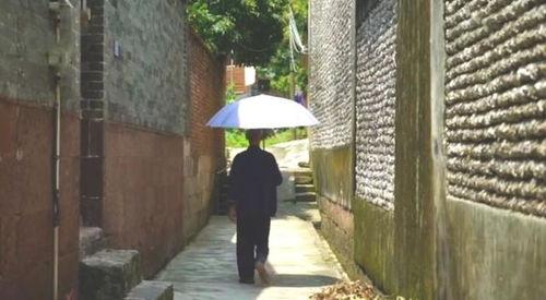 校园凉亭吃瓜事件真相视频,真相视频曝光背后的真相