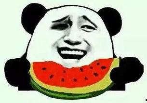 哄女朋友吃瓜视频大全