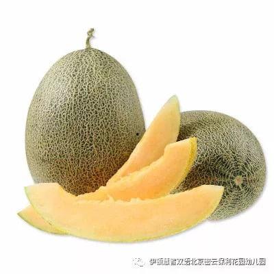 吃哈密瓜唱歌视频大全集,视频大全集带你领略甜蜜与欢乐