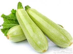 吃白瓜的小妙招有哪些视频