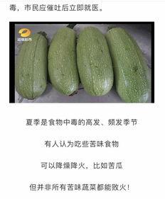 吃白瓜的小妙招有哪些视频