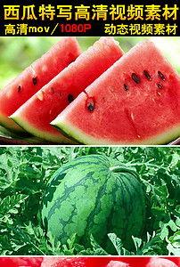 西藏网红视频500部吃瓜,500部视频带你尝遍特色瓜果