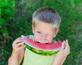 大哭吃瓜视频大全,大哭吃瓜视频大全，笑中带泪的欢乐时光