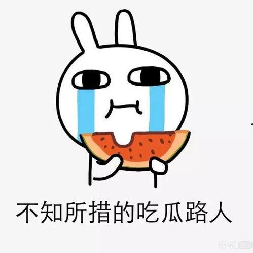 大哭吃瓜视频大全,大哭吃瓜视频大全，笑中带泪的欢乐时光