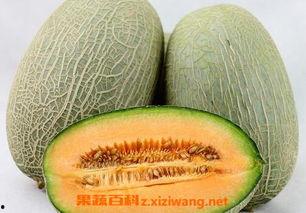 小哈密瓜很软可以吃吗视频,小哈密瓜的食用指南