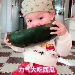 小黄师徒现场吃瓜视频,揭秘娱乐圈幕后趣事