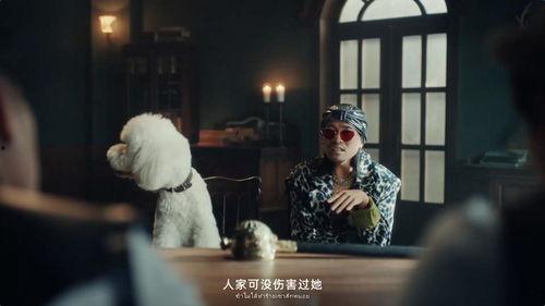 白雪公主视频吃瓜,宫廷秘辛与吃瓜群众的狂欢