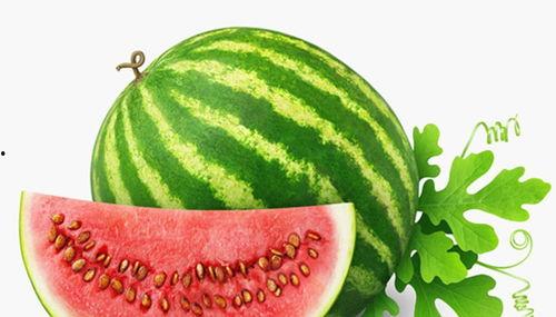 大嘴吃瓜的视频素材高清