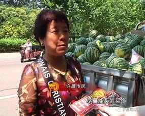 群众惊艳吃瓜视频,一场视觉盛宴的狂欢