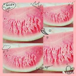 河南鹤壁吃瓜视频,揭秘当地特色美食背后的故事